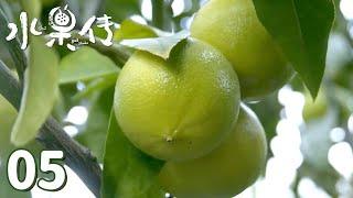 【水果传】第5集：灵感——水果不只是美味，还是艺术的载体 | Legend of Fruit | 腾讯视频 - 纪录片