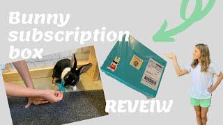 Bunny fun Box, subscription box review!!