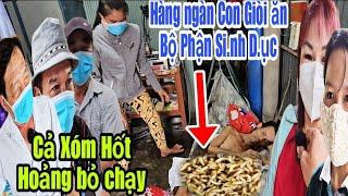 Bốc Mùi H.ôi Th.ối cả xóm bỏ chạy hàng ngàn con Gi.ò.i ăn BPSD anh Thoại 45T Tiền Giang.