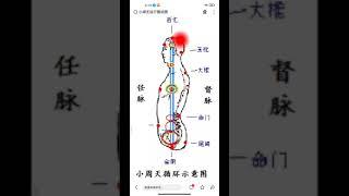 体道 小周天再体验（任督二脉） 一