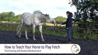 How to Teach Your Horse to Play Fetch - Trick Training with Positive Reinforcement