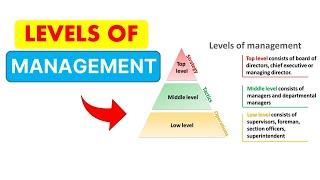 Levels of Management in an Organization