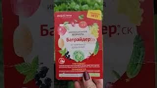 Чем обработать капусту от вредителей.Проверено.Рекомендую.