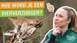 ZO WORD JE DIERVERZORGER IN DE DIERENTUIN! KIJK MEE ACHTER DE SCHERMEN | Carlijns Dierenvraag #29