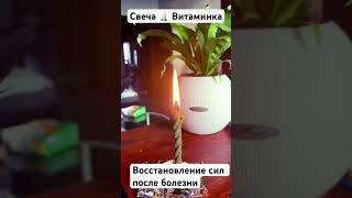 #магия #свечнаямагия #свечистравами #свечи #рекомендации #свечиизвоска #свечапрограмма