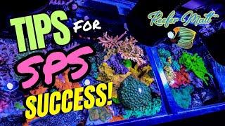 Tips for SPS Coral Success!