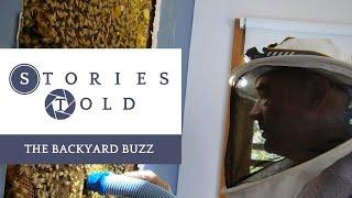 The Backyard Buzz - why we need more bees in suburbia  | Stories Told