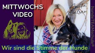 Mittwochsvideo 22-12-07 Falsches Bestätigen und seine Folgen…