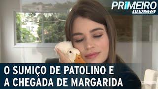 Influenciadora adota pata enquanto segue busca por Patolino | Primeiro Impacto (01/06/23)