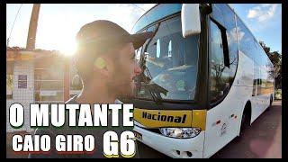 Uma viagem NACIONAL de TERESINA para SALVADOR pelas estradas do Brasil | Como é viajar de ônibus?