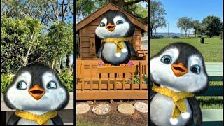 Puff Puff - Best of 2021 Compilation | itspuffpuff cute penguin