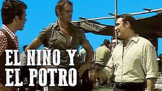 El niño y el potro | Película del Oeste completa en Español | Película de Vaqueros