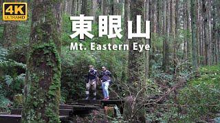 4K【桃園 東眼山】桃園人的小百岳！享受一日柳杉森林浴 Hiking the Mt. Eastern Eye in Taiwan Taoyuan