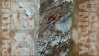 "Phallus Dei" 8b | "Vagina Diaboli" 8b | Barbara Raudner