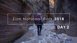 Zion Fall 2018: (Day 2) Analog Landscape Photography in Zion