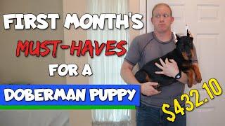 Getting a Doberman Puppy? Here's What You NEED to Get