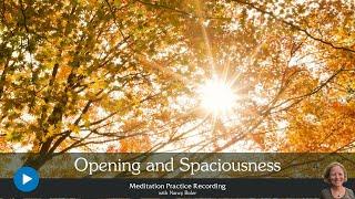 Opening and Spaciousness | Meditation with Nancy Boler | 40 Minutes