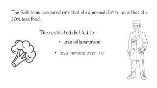 Salk scientists show how caloric restriction prevents negative effects of aging in cells