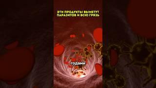 Эти продукты выметут паразитов и всю грязь #народнаямедицина #вред #рецепты #травы #рецепт #здоровье