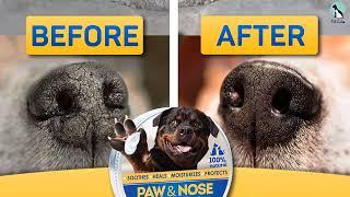 Top 5 Best Dog Paw Balm Reviews of 2024