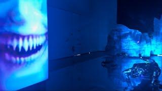 Galeria Municipal do Porto | Kunstausstellungen Ende 2024