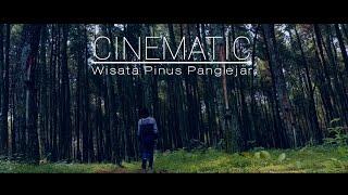 Cinematic wisata Pinus Panglejar Cikalong wetan Jawa barat