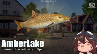 (RussianFishing4) Amber Lake - Current Common Barbel Spot ft. Common, Mirror, & Frame-Sided Carp