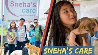 RESCUE DOGS SHELTER | SNEHA’S CARE | HUMANITARIAN | BHAISIPATI | CHOVAR | KIRTIPUR | NEPAL