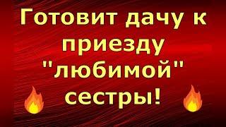 Новый день / Лена LIFE / Готовит дачу к приезду "любимой" сестры! / Обзор