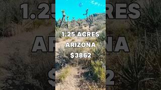 1.25 Acres for Sale in Meadview, Arizona for $3,862 #land #property #investing #cheap #shorts #fyp