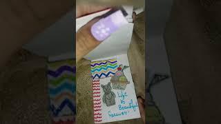 Sara.s.n.singh's ASMR binder Mini Diary decoration (part 14)