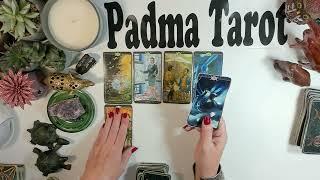 NEXT 72 HOURS ️ VERY IMPORTANT MESSAGE!Bonus Tarot Reading  