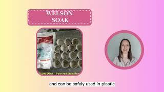 WELSON SOAK