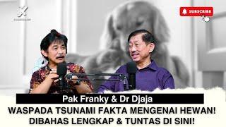 Episode 98 | Punya hewan peliharaan bahaya nya apa saja? #dokterdjaja #kedokteran