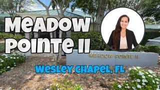 Meadow Pointe II