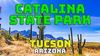 Catalina State Park | Tucson Arizona