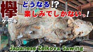 【大変だけど楽しみ！】岩手のケヤキ原木を製材【木の店さんもく】Japanese Zelkova Sawing - hard to work with but it's fun! (Eng. sub)