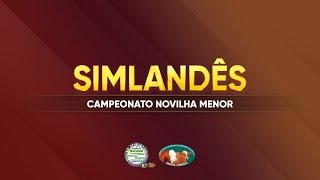 CAMPEONATO NOVILHA MENOR - SIMENTAL BRASILEIRO
