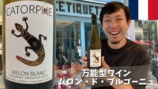 【フランス 白ワイン】アペロにピッタリ！ムロン・ド・ブルゴーニュ！ ゆきおとワイン496「Domaine de la Tourlaudière Catorpee Melon Blanc 2020」