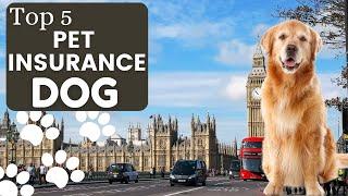 Best Pet Insurance For Dogs  | Top 5 Pet Health Insurance in UK - Insurance