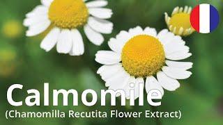 Calmomile (Chamomilla Recutita (Matricaria) Flower Extract) French.ver