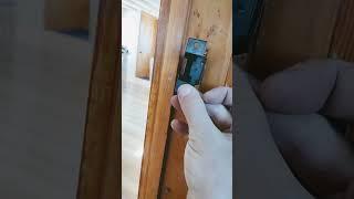Multi Tool Blade You Want To Have Around