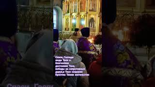 Спаси Господи, люди Твоя и благословли