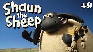 Supersized Timmy | Shaun the Sheep Season 2 | Full Episode