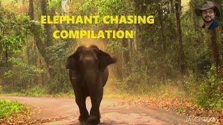 #elephantattack #elephantchase #éléphants #jasoprakas #adventure #animallover #elephant #thar