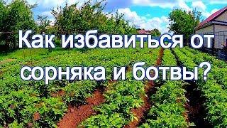 Как избавиться от сорняка и ботвы перед уборкой урожая картофеля?