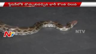 Python Slithers Into Banjara Hills Traffic PS | Chaos In Police Station | NTV