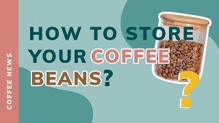 HOW TO STORE YOUR COFFEE BEANS?