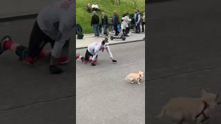 Street Mime Scared the Dog. Madrid, Spain.