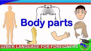 1.1. BODY PARTS IN UZBEK. Learning the names of parts of the human body